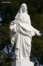 Reforestación Totana